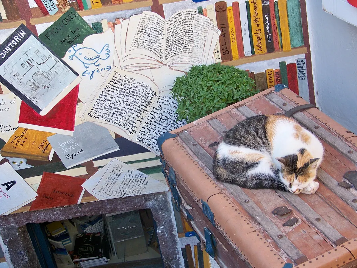 Common Mistakes Authors Make When Approaching Independent Bookshops